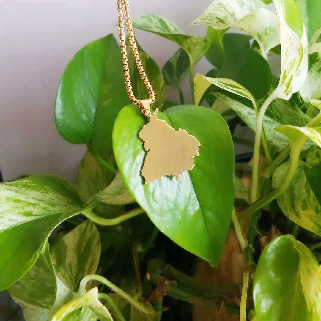 Punjab Map Necklace