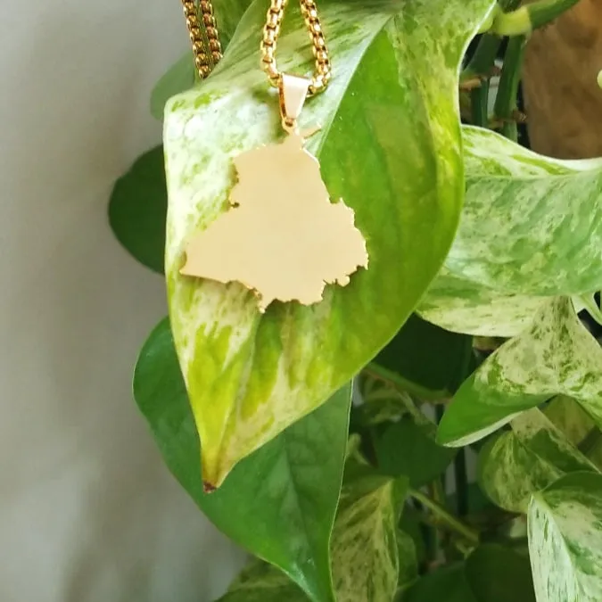 Punjab Map Necklace