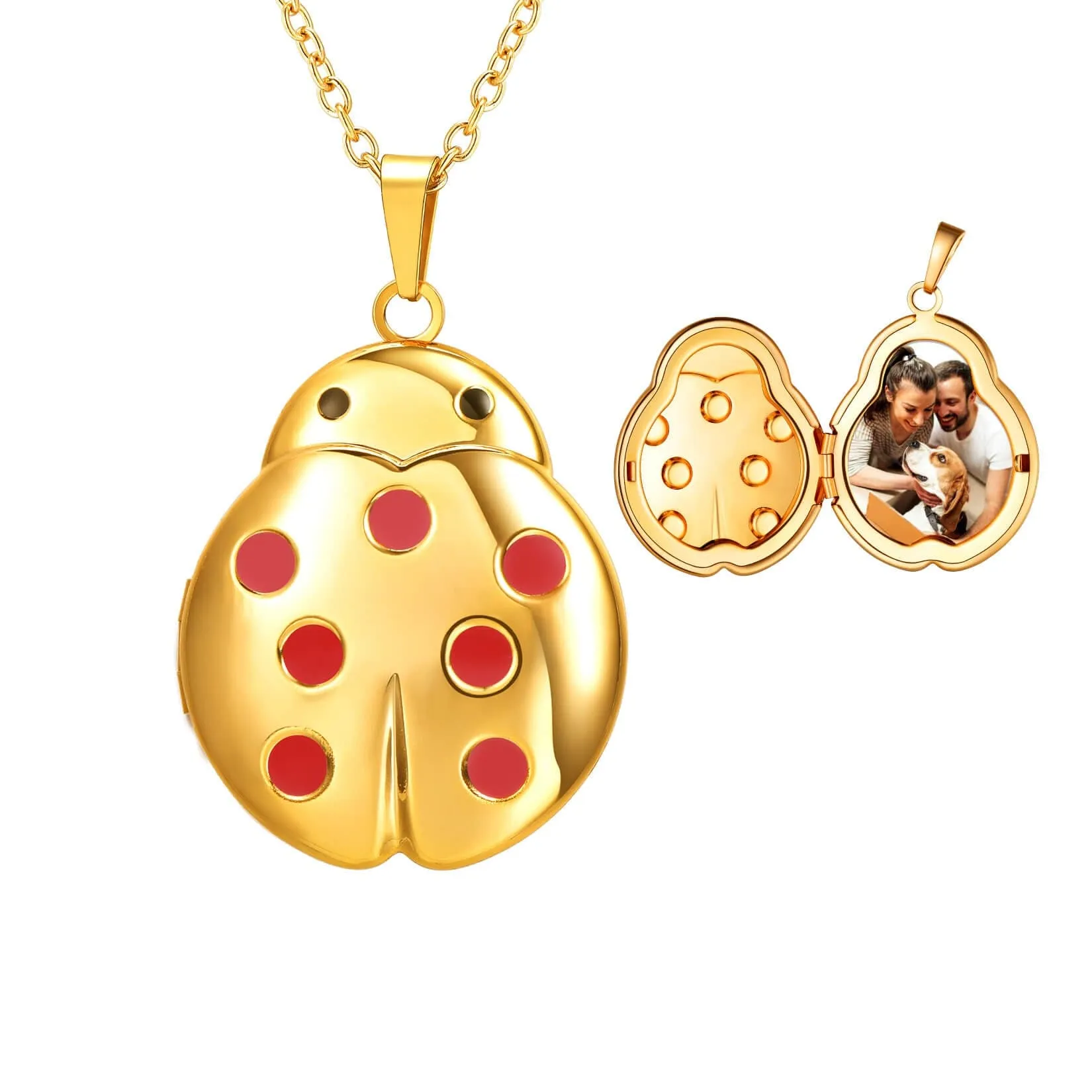 U7 Jewelry Engraved Ladybug Locket Necklace With Picture