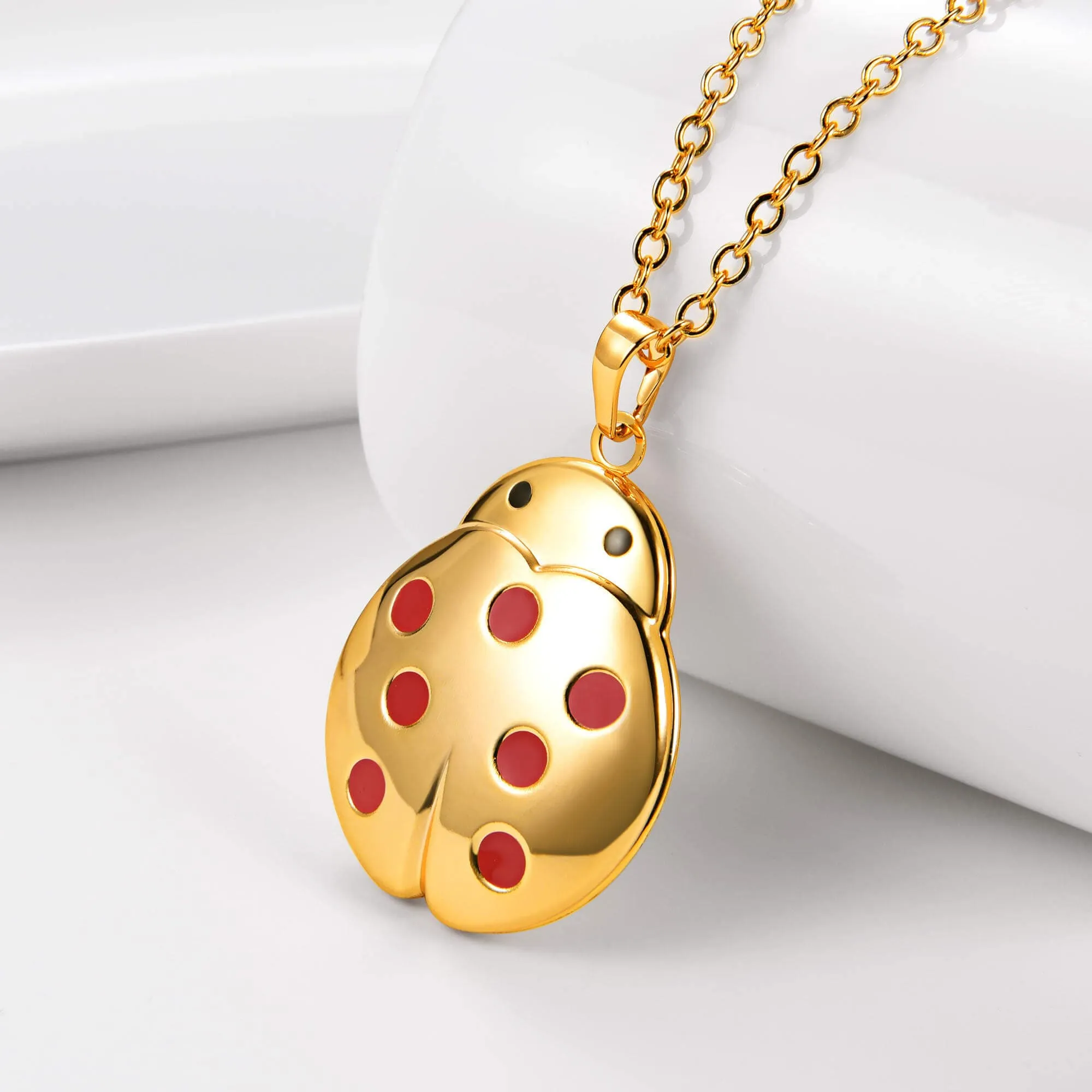 U7 Jewelry Engraved Ladybug Locket Necklace With Picture