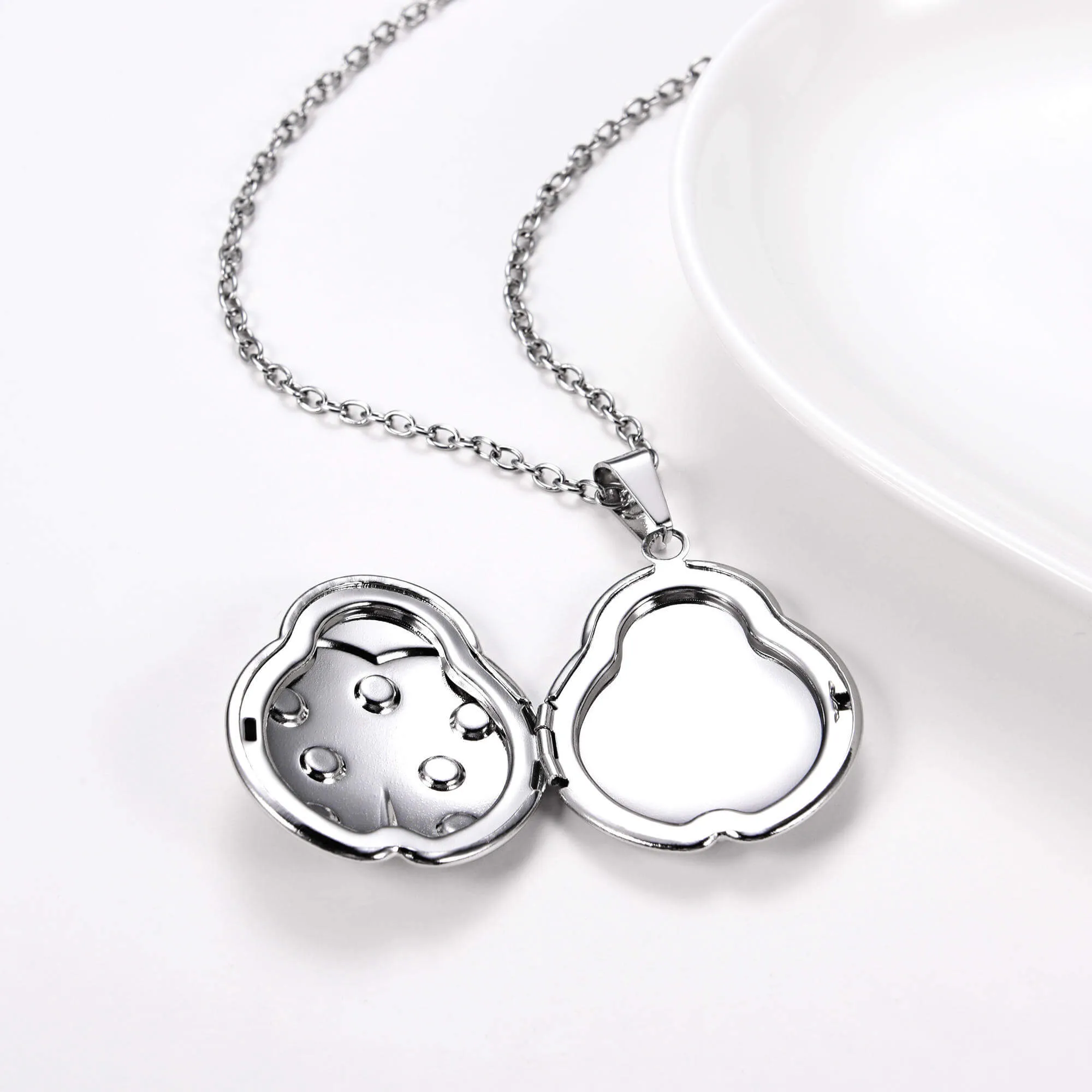 U7 Jewelry Engraved Ladybug Locket Necklace With Picture