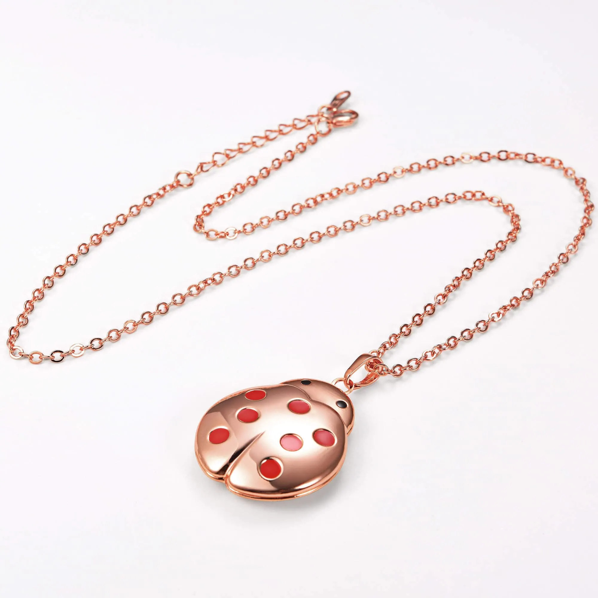 U7 Jewelry Engraved Ladybug Locket Necklace With Picture