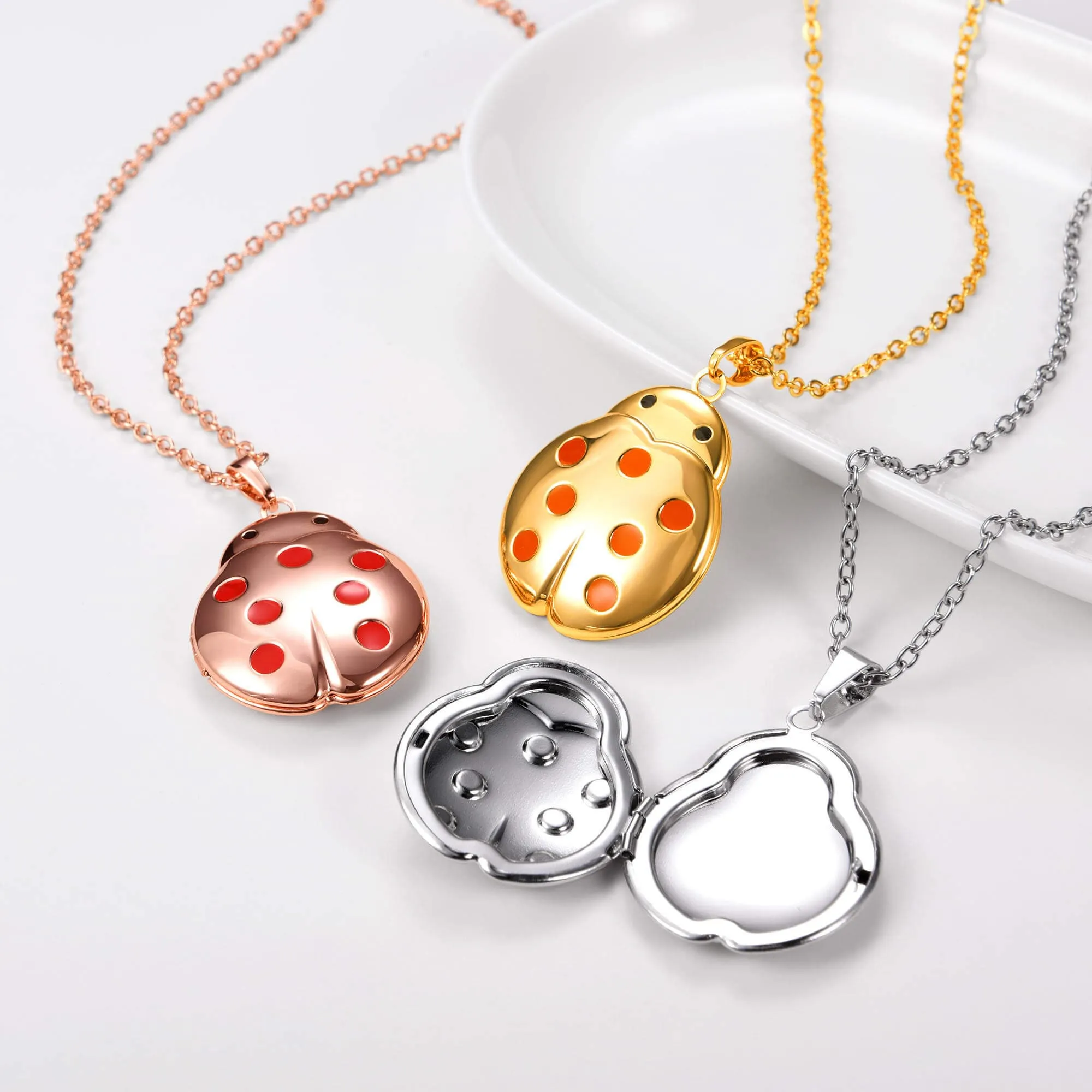 U7 Jewelry Engraved Ladybug Locket Necklace With Picture