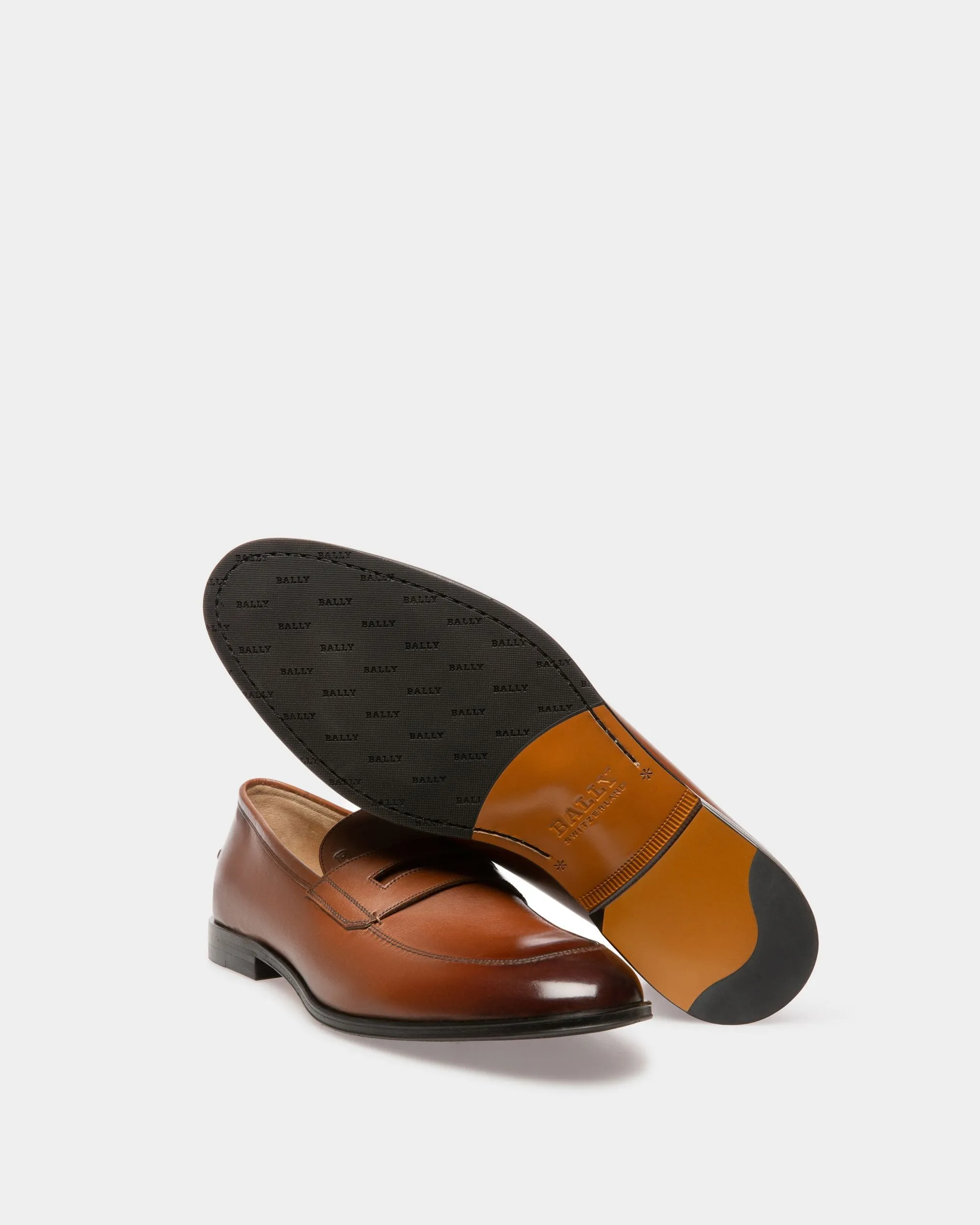 Webb Leather Loafers In Brown 